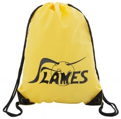 Gymsac Flames